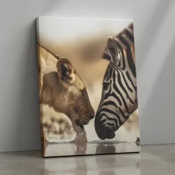 Wild Encounter lion and zebra wildlife canvas print by Artfy Canvas – nature canvas painting, wall paintings, artwork for wall décor