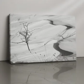 Winter Veil snowy seasonal forest canvas print by Artfy Canvas – calm winter wall décor