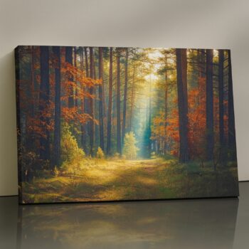 Lumen Forest Canvas Print – golden light through autumn woods, nature wall art by Artfy Canvas