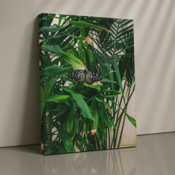 Monarch’s Rest butterfly nature canvas print by Artfy Canvas – insect nature canvas painting, wall paintings, artwork for wall décor